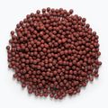 Kulki proteinowe MIVARDI Rapid Boilies Starter Hot Spice 3,5 kg 4