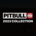 Koszulka męska Pitbull Hilltop mint 12