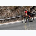 Koszulka rowerowa męska Rogelli Course black/red/white 7