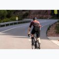 Spodenki rowerowe męskie Rogelli Signature Bib Short black 7