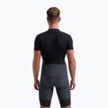 Spodenki rowerowe męskie Rogelli Signature Bib Short grey 2