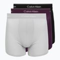 Bokserki męskie Calvin Klein LV00NB4394 Brief black/harbor mist/dark purple w/ dt