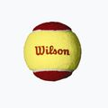 Piłki tenisowe dziecięce Wilson Starter Red 12B 12 szt. yellow/red 3