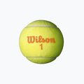 Piłki tenisowe dziecięce Wilson Starter Orange 3B 3 szt. yellow/orange 3