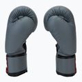 Rękawice bokserskie dziecięce Twins Special BGVS3 grey 4