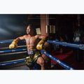 Rękawice bokserskie Fairtex Universal "Tight-Fit" Design Falcon gold 3
