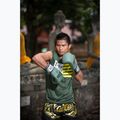 Rękawice bokserskie Fairtex F-DAY Limited Edition pickle 5