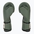 Rękawice bokserskie Fairtex F-DAY Limited Edition pickle 4