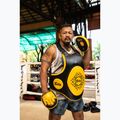 Łapy treningowe Fairtex Speed & Accuracy Focus Mitts black/golden 6