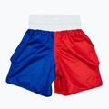 Spodenki bokserskie Fairtex Boxing Trunks BT2001 "Philippines" red/white/blue 2