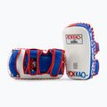 Tarcza treningowa YOKKAO Curved 2 szt. thai flag