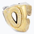 Kask bokserski Top King Super Star white/gold 2