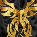 Spodenki treningowe Top King Kickboxing gold 4