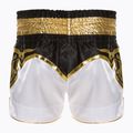Spodenki treningowe Top King Kickboxing multicolor 2