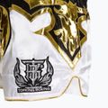 Spodenki treningowe Top King Kickboxing multicolor 4