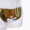 Spodenki treningowe Top King Kickboxing multicolor 5