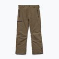 Spodnie snowboardowe męskie Volcom L Gore-Tex Pant Teak 9