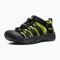 Sandały dziecięce KEEN Newport H2 black/lime green 4