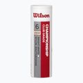 Lotki do badmintona Wilson Championship 6 szt. white 2