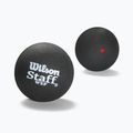 Piłki do squasha Wilson Staff Squash 2 Ball Red Dot 2 szt. 2
