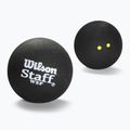 Piłki do squasha Wilson Staff Squash 3 Ball Double Yellow Dot 3 szt.