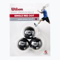 Piłki do squasha Wilson Staff Squash 3 Ball Red Dot 3 szt. 2
