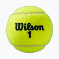 Piłki tenisowe Wilson Roland Garros All Court 3B 3 szt. yellow 2