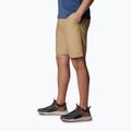 Spodenki trekkingowe męskie Columbia Washed Out crouton 3