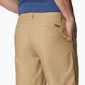 Spodenki trekkingowe męskie Columbia Washed Out crouton 5