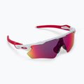 Okulary przeciwsłoneczne Oakley Radar EV Path polished white/prizm road