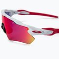 Okulary przeciwsłoneczne Oakley Radar EV Path polished white/prizm road 3