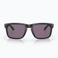 Okulary przeciwsłoneczne Oakley Holbrook matte black/prizm grey 2