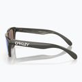 Okulary przeciwsłoneczne dziecięce Oakley Frogskins XXS grey smoke/prizm sapphire 3