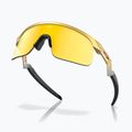 Okulary przeciwsłoneczne dziecięce Oakley Resistor gold/prizm 24k 4