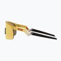 Okulary przeciwsłoneczne dziecięce Oakley Resistor gold/prizm 24k 7