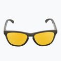 Okulary przeciwsłoneczne Oakley Frogskins Range dark brush/prizm 24k polarized 3