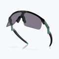 Okulary przeciwsłoneczne dziecięce Oakley Resistor black/prizm grey 4