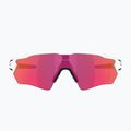 Okulary przeciwsłoneczne Oakley Radar EV S Path polished white/prizm field 2