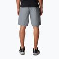 Spodenki trekkingowe męskie Columbia Washed Out grey ash 2