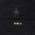Czapka Smartwool Merino Reversible Cuffed charcoal 3
