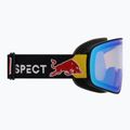 Gogle narciarskie Red Bull SPECT Rush Photo matt black/light blue with blue chrom x 3