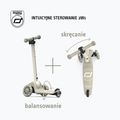 Hulajnoga trójkołowa dziecięca Scoot & Ride Highwaykick 3S 2w1 LED ash 3