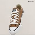 Trampki Converse Chuck Taylor All Star Classic Ox A06564C hot tea 9
