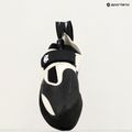 Buty wspinaczkowe Evolv Zenist grey/black 6