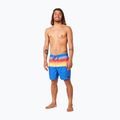 Szorty kąpielowe męskie Rip Curl Allover Semi Elastic retro blue 4