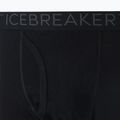 Spodnie termoaktywne męskie icebreaker 200 Oasis W/Fly black 9