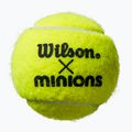 Piłki tenisowe dziecięce Wilson Minions Tennis 3B 3 szt. yellow 4