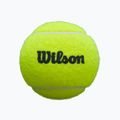Piłki do padla Wilson Premier Padel 3 szt. yellow 5