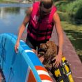 Kamizelka asekuracyjna dla psa Cressi Dog Life Jacket black/yellow 8