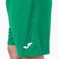 Spodenki piłkarskie męskie Joma Nobel green 3